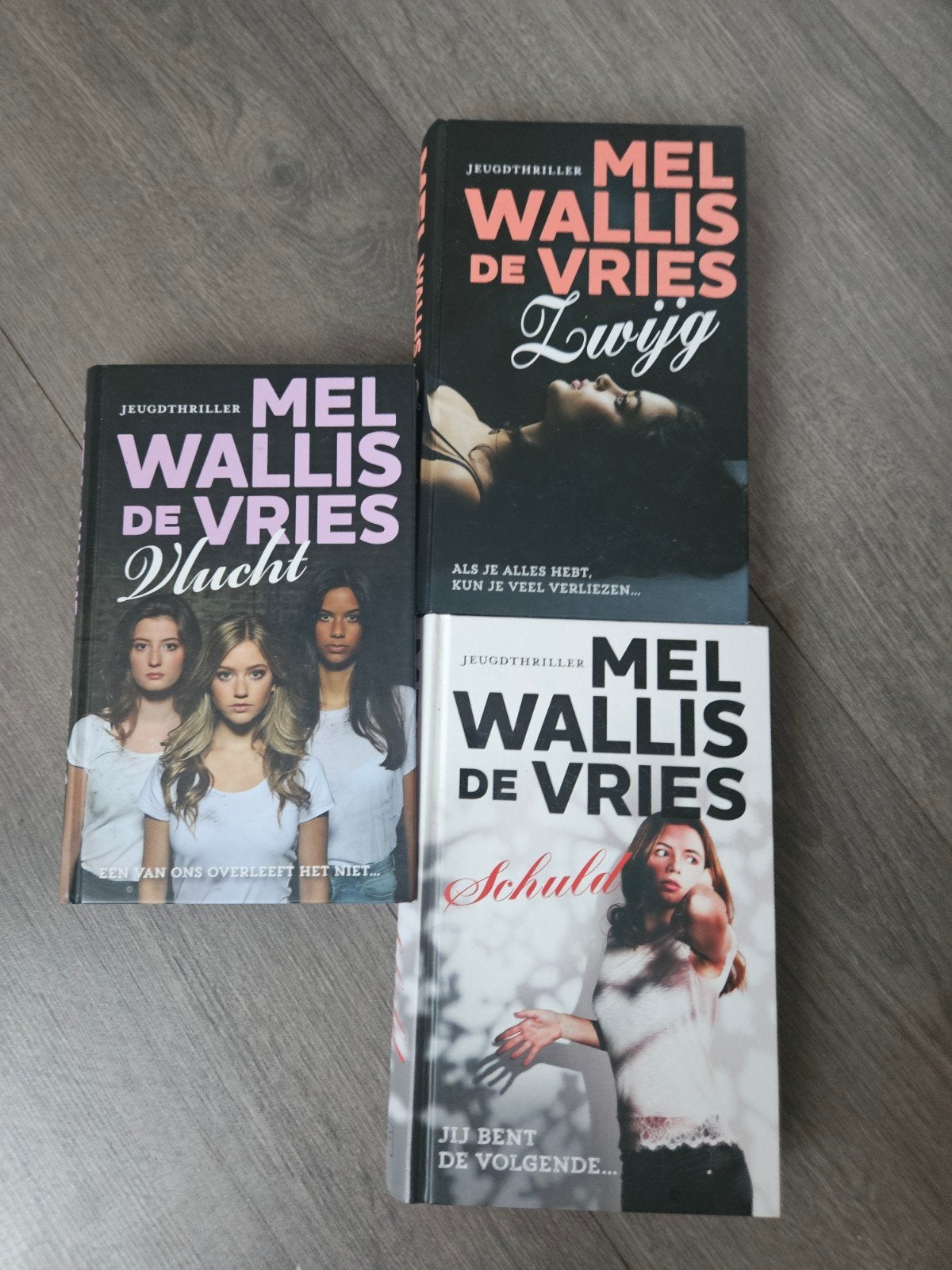 Mel Wallis de Vries jeugdthriller triplets  Zo goed als nieu, Boeken, Ophalen of Verzenden, Zo goed als nieuw, Mel Wallis de Vries