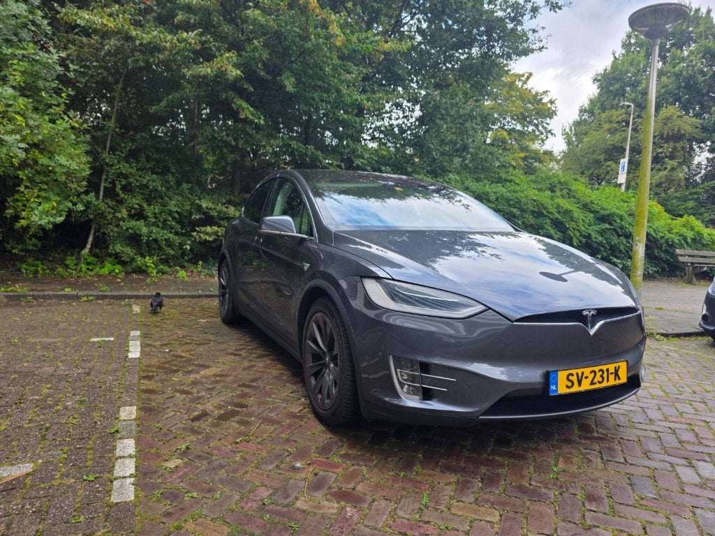Foto 3 van Tesla Model X 100D MCU2 | 6p | CCS | Enhanced Autopilot