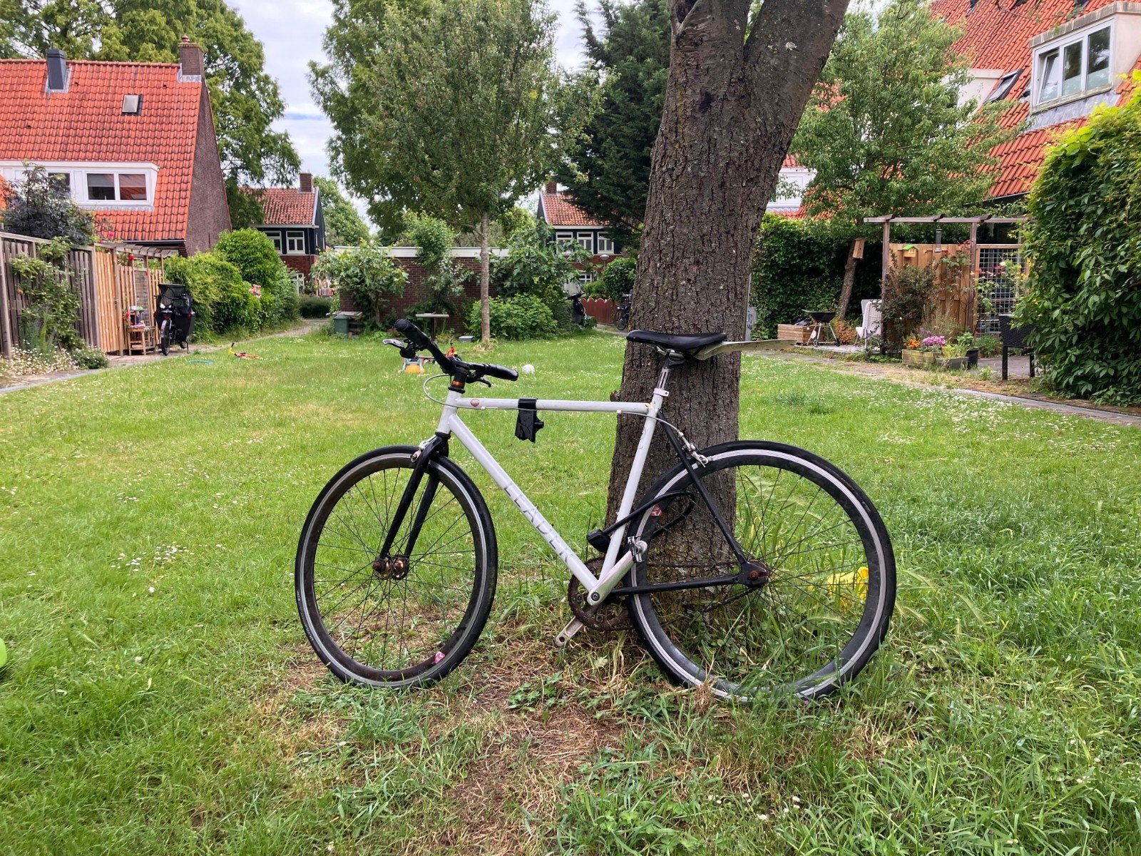 Leader Singlespeed / Fixie – licht frame, Ophalen, Overige merken