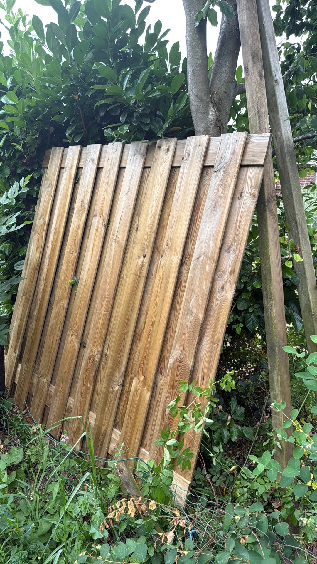 Tuinscherm met 2 houten palen, Tuin en Terras, Schuttingen, Ophalen, 1 tot 2 meter, Minder dan 3 meter, Zo goed als nieuw
