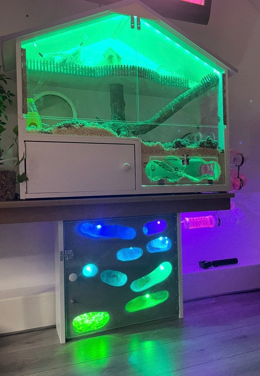 Dwerg hamster kooi met grot en led verlichting, Dieren en Toebehoren, Knaagdieren en Konijnen | Hokken en Kooien, Kooi, Minder dan 75 cm