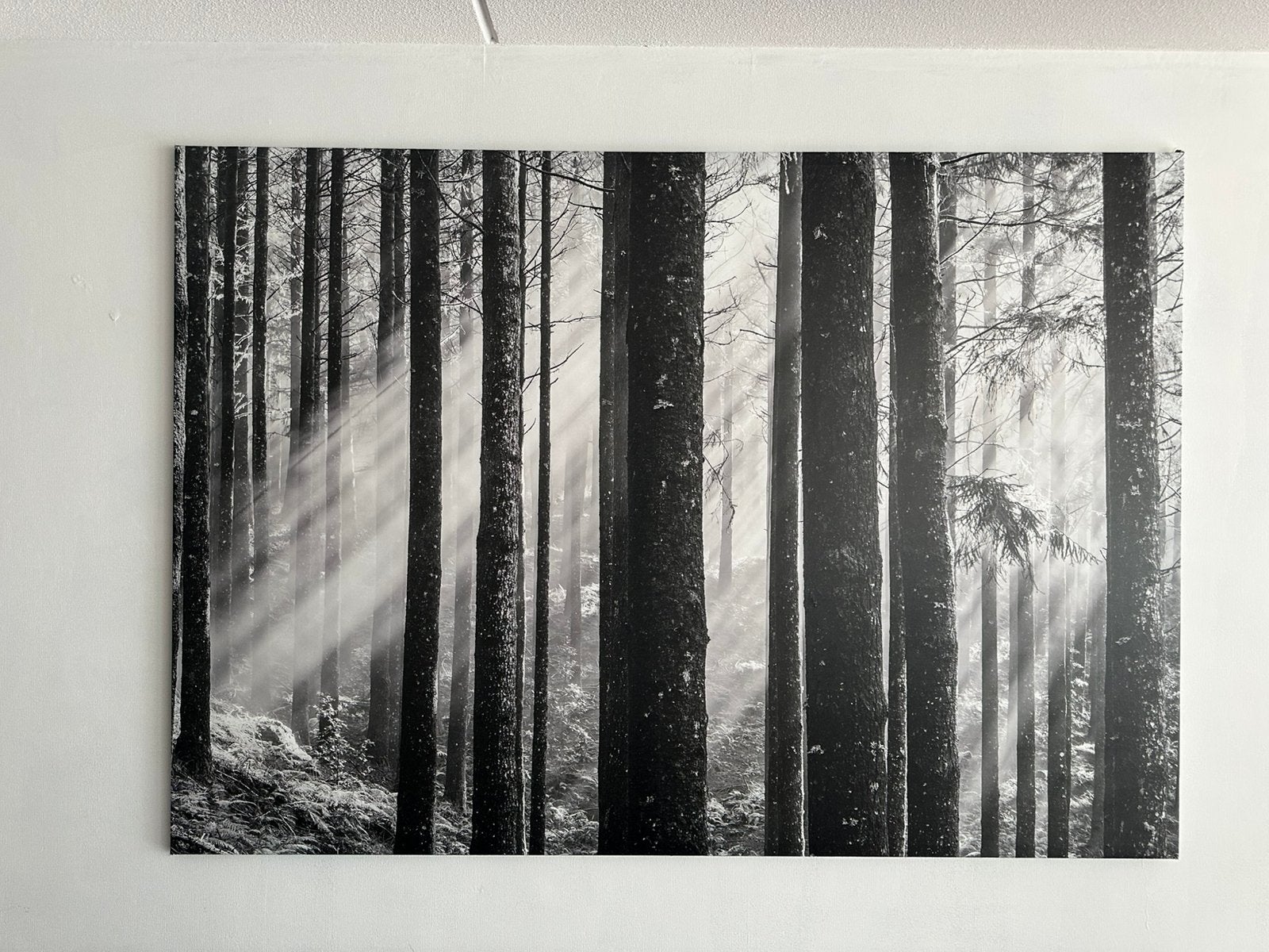 IKEA Canvas bos zwart wit groot, Ophalen