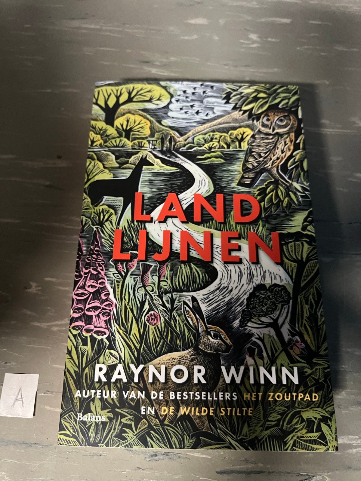 Landlijnen - Raynor Winn (Zo goed als nieuw), Ophalen of Verzenden, Zo goed als nieuw, Nederland