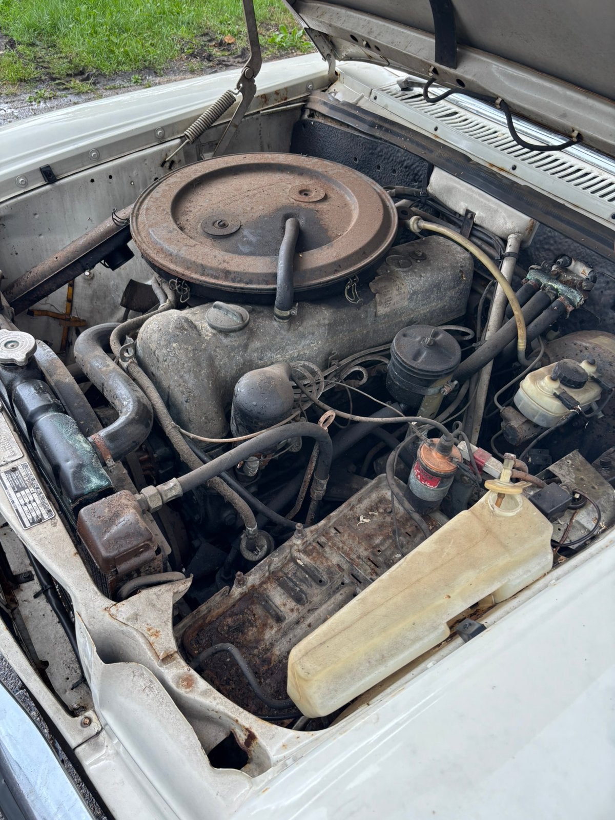 Mercedes 230.6 project of voor onderdelen, foto 4