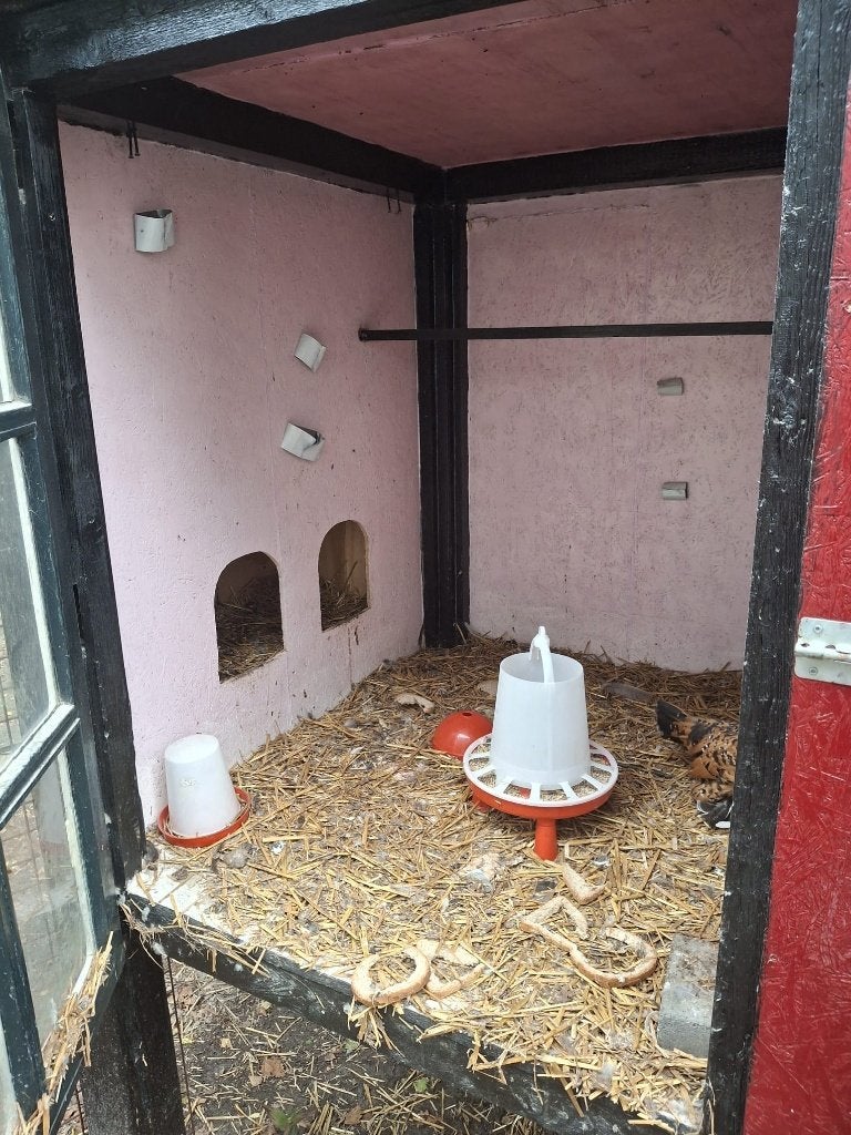 Robuust Kippenhok / Kippenvilla met hooizolder, Ophalen, Kippenhok of Kippenren, Nieuw