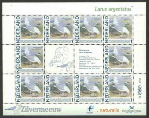 Vogels in Nederland Vel Zilvermeeuw, Ophalen of Verzenden, Postfris