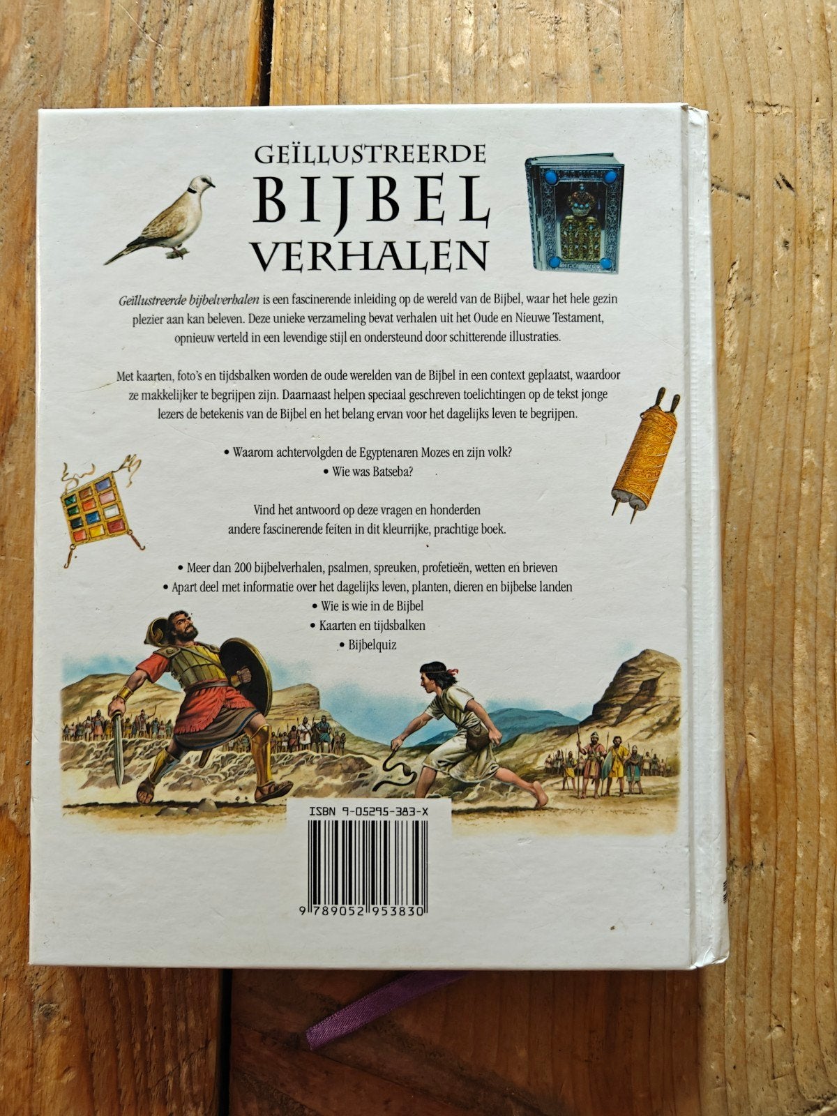 Geïllustreerde Bijbel verhalen., Ophalen of Verzenden, Zo goed als nieuw