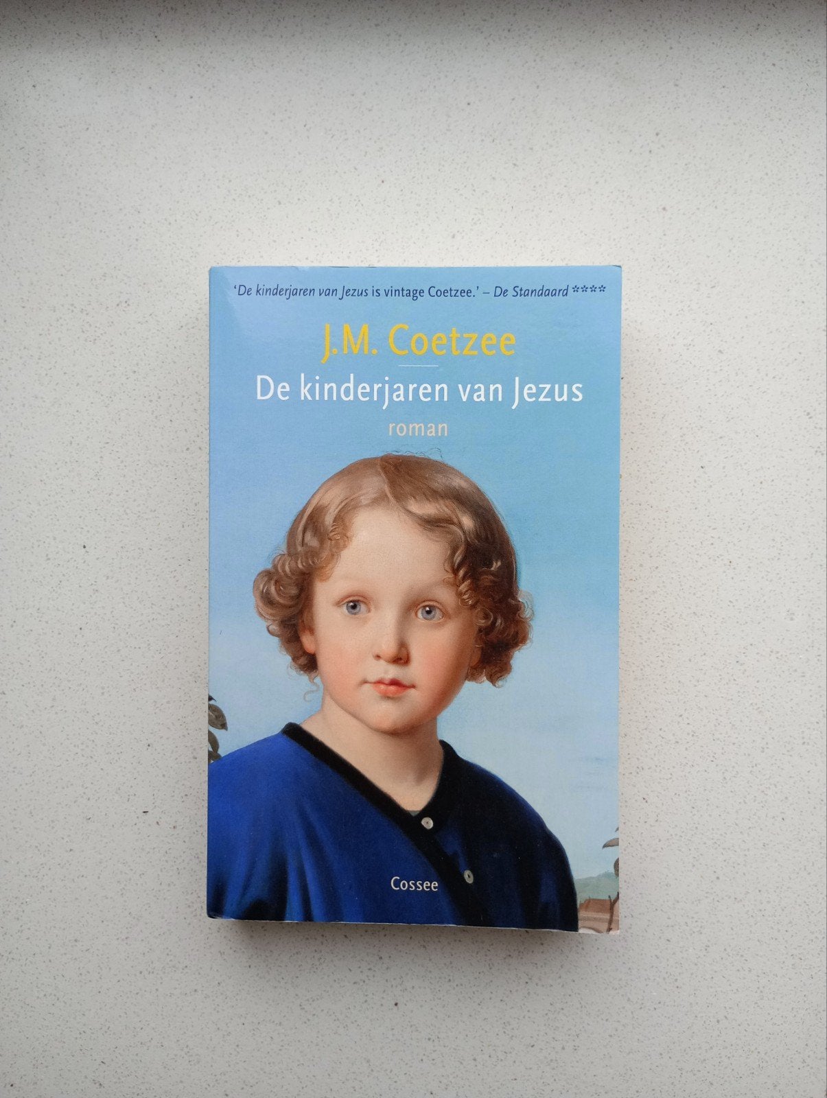 De Kinderjaren van Jezus - J.M. Coetzee, Boeken, Ophalen of Verzenden, Gelezen