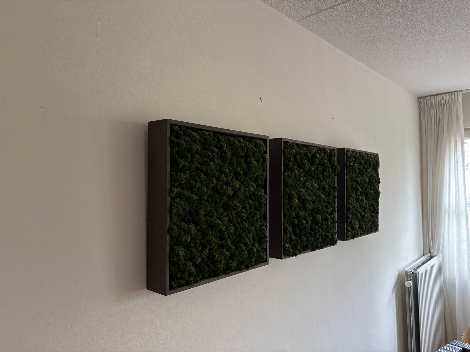 Muurdecoratie van rendiermos (3x) - 50x50 cm, Ophalen, Groen, Zo goed als nieuw, Natuurlijk materiaal