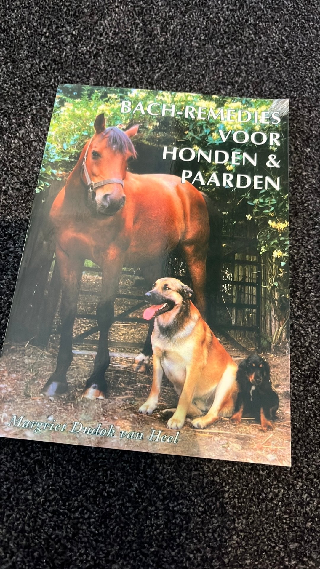 M. Dudok van Heel - Bach-remedies voor honden en paarden, Sociale wetenschap, Ophalen of Verzenden, Zo goed als nieuw, M. Dudok van Heel