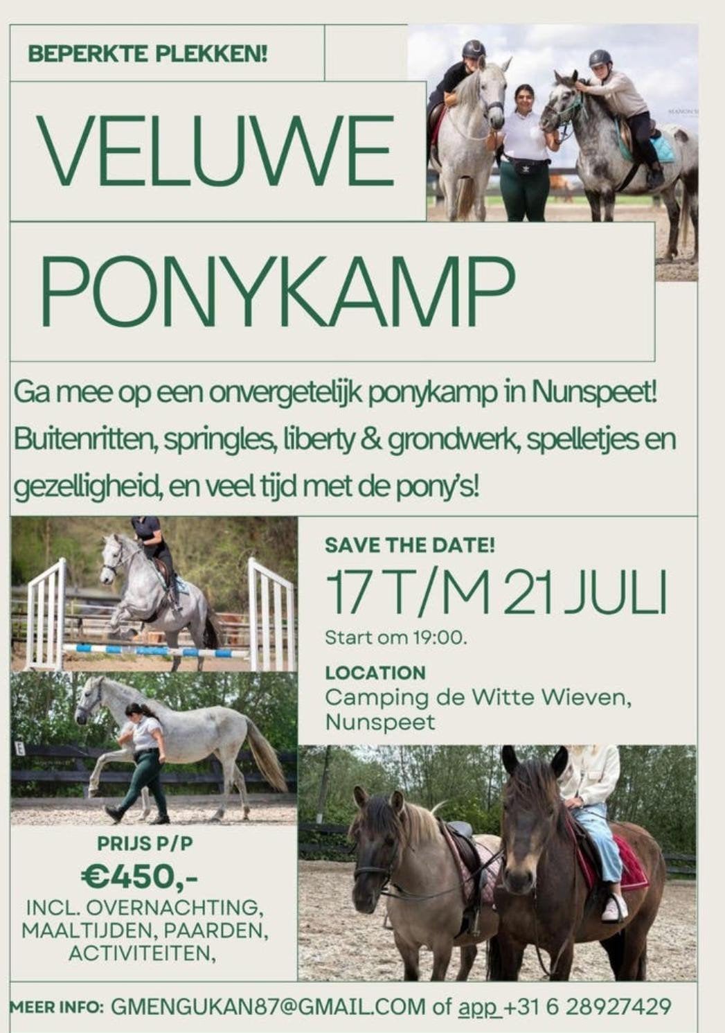 Ponykamp op de veluwe voor jong en oud!, Ophalen of Verzenden, Nieuw, Overige soorten
