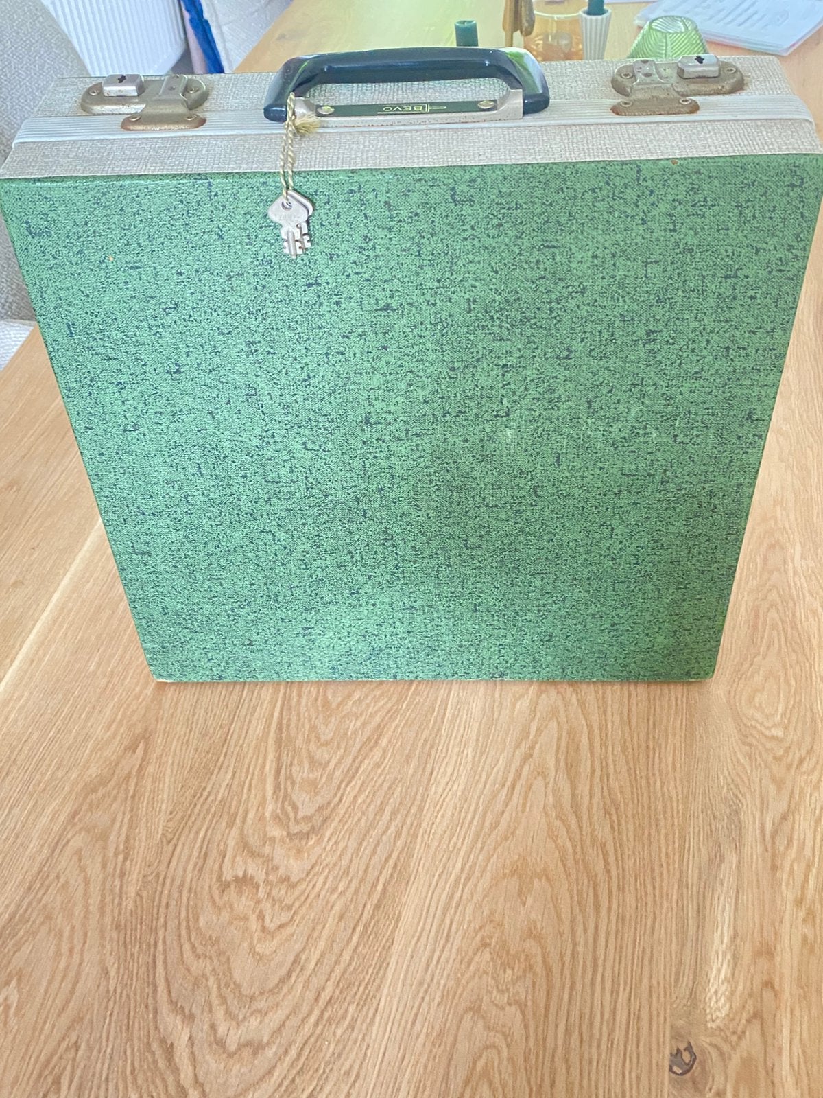 Vintage platen koffers(2stuks), Muziek en Instrumenten, Ophalen, Gebruikt, Overige instrumenten