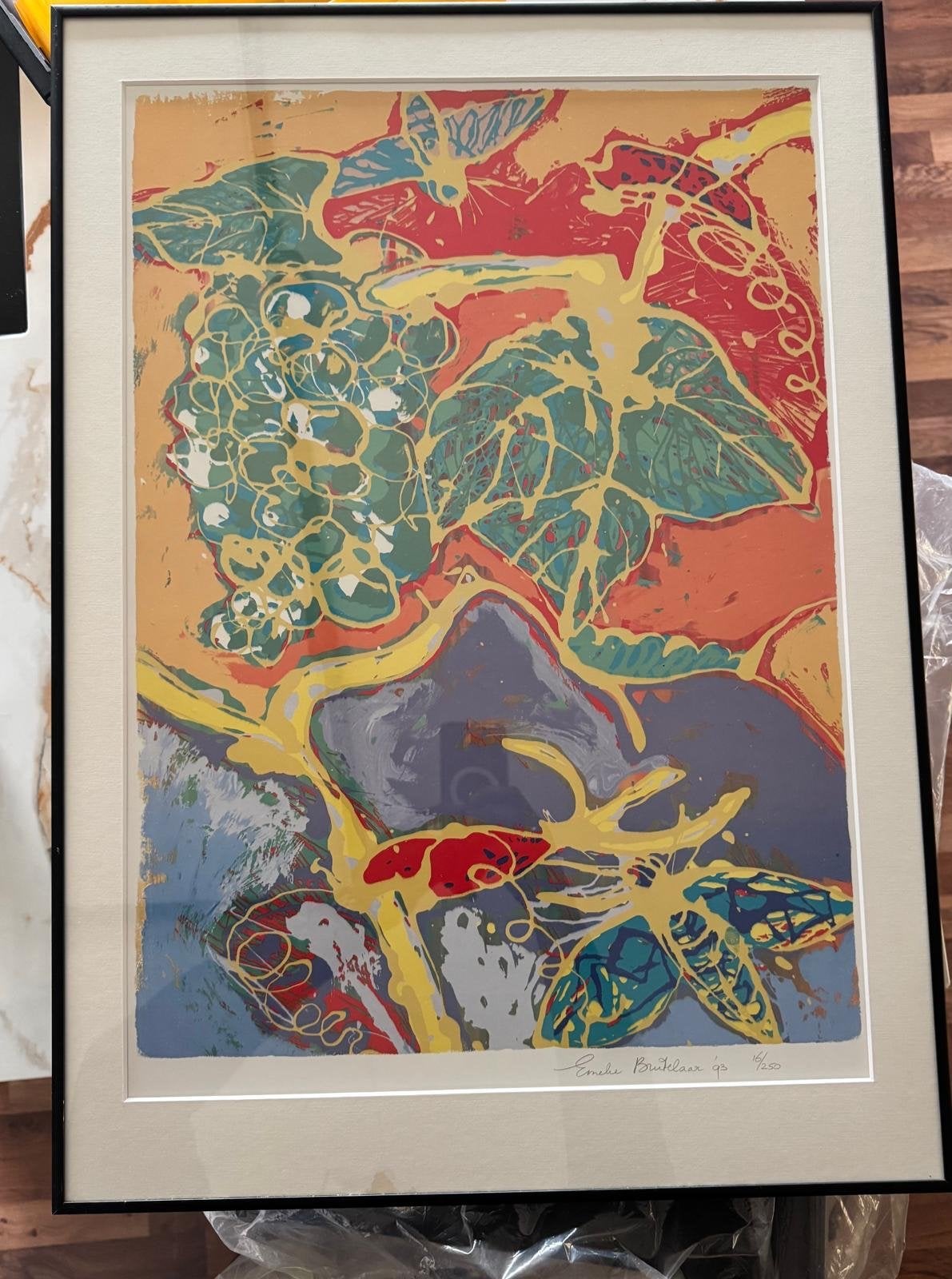 Emeke Buitelaar '93 - Druiven en vlinders incl lijst 50x70, Ophalen
