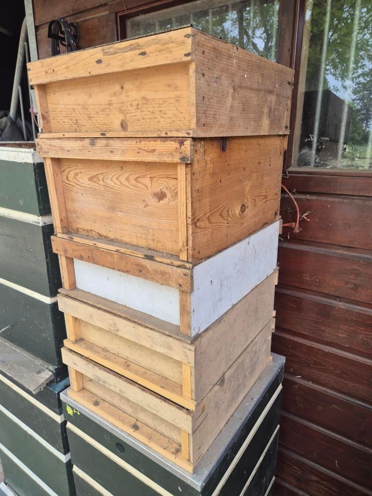 simplex binnenbakken, Dieren en Toebehoren, Insecten en Spinnen, Bijen