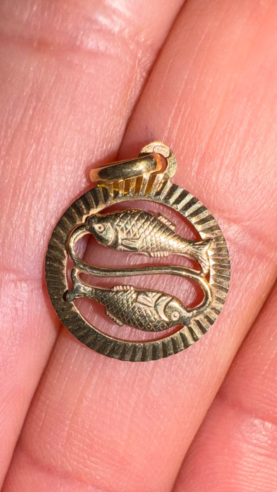 Gouden Hanger Vissen Fabiola 14 Karaat Sterrenbeeld, Ophalen of Verzenden, Zo goed als nieuw, Goud