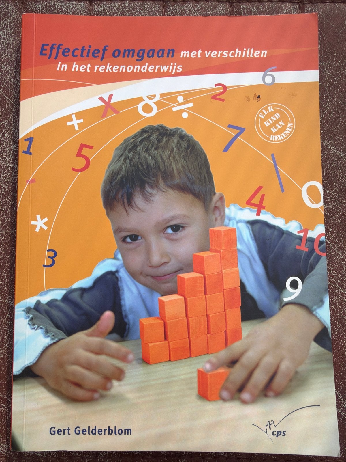 Effectief omgaan met verschillen in het rekenonderwijs, Ophalen of Verzenden, Beta, Zo goed als nieuw, HBO