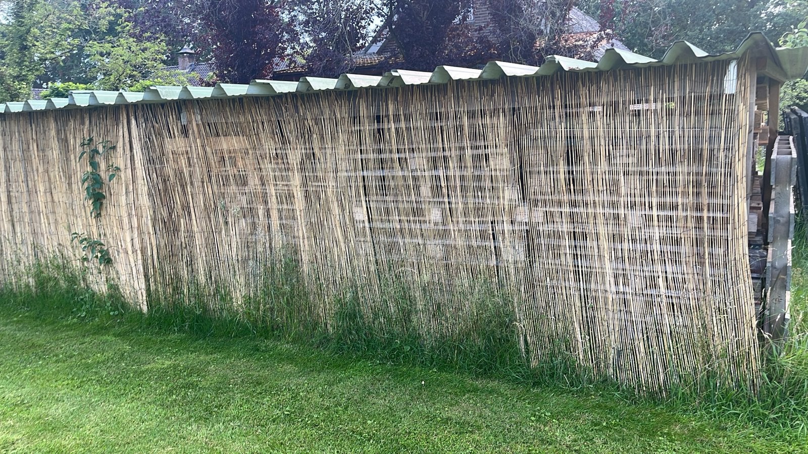 4 Rietmatten 180x200 cm, Tuin en Terras, Ophalen, Overige materialen, Minder dan 3 meter, 1 tot 2 meter