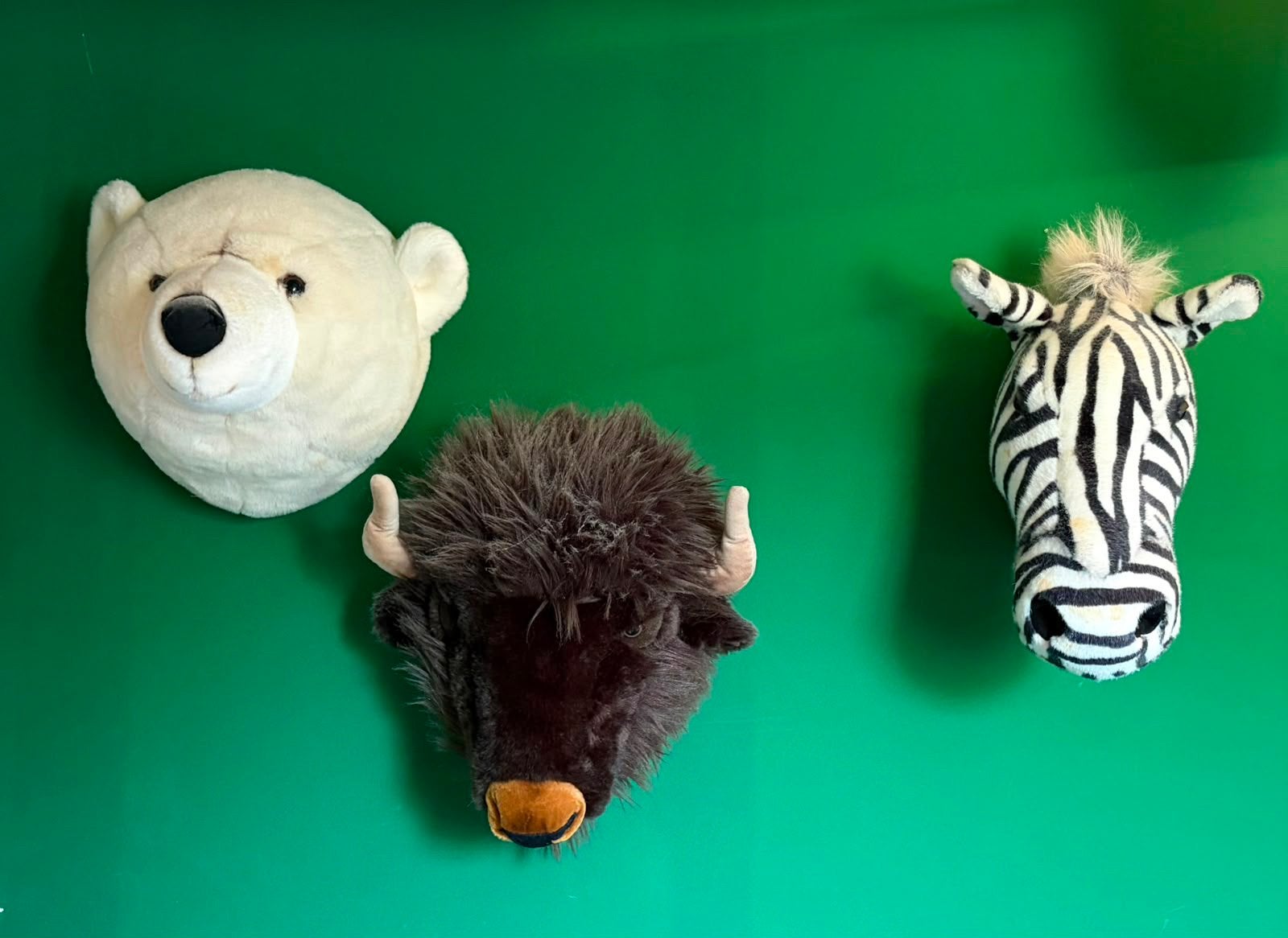 6x Knuffelkoppen voor aan de wand, Ophalen, Zo goed als nieuw, Overige typen