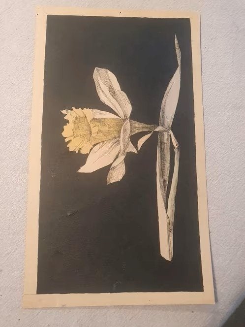 Prachtige aquarel met inkt Narcis gesigneerd M, W of E of..?, Antiek en Kunst, Ophalen