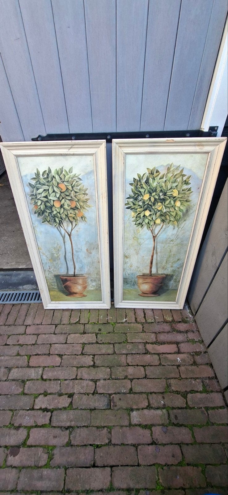 2 ingelijste prints: Sinaasappel-en Citroenboom, Paneel, Achter glas, Klassiek, Ophalen