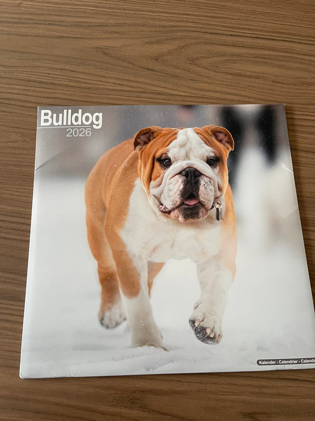 Kalender calander hond rassen bulldog shepherd zeeland 2026, Ophalen of Verzenden, Maandkalender