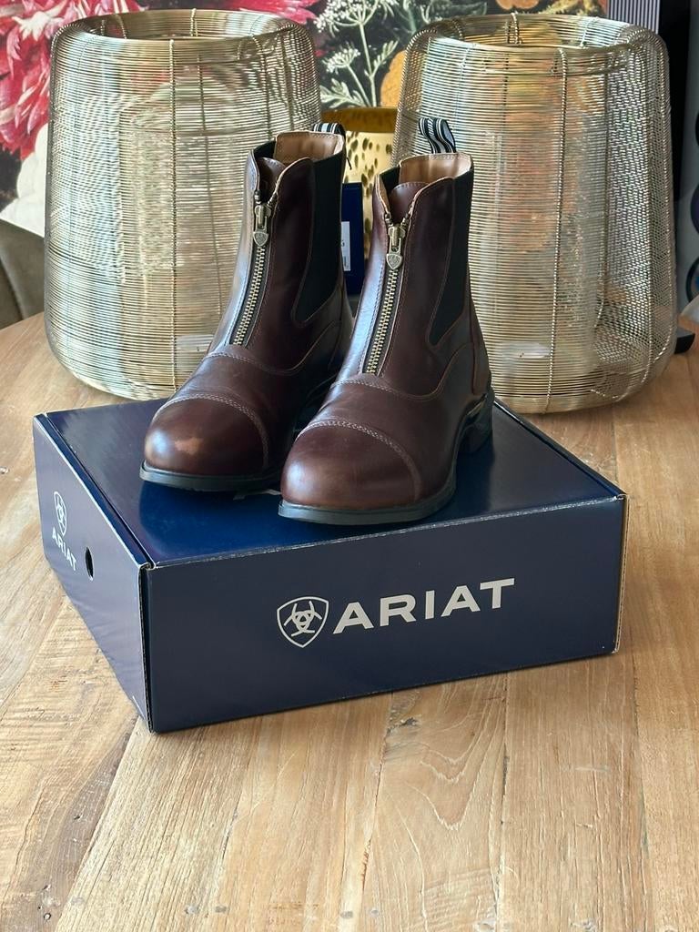 Ariat Jodhpurs Devon Axis Pro Bruin, Heren, Nieuw, Ophalen of Verzenden, Western
