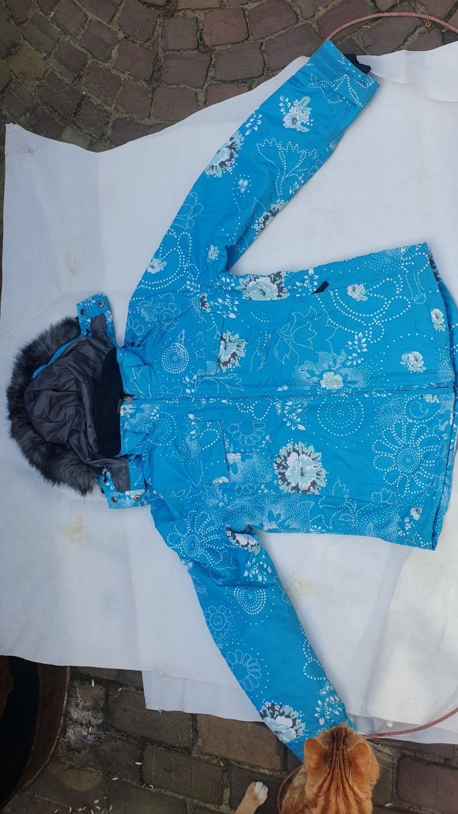 Brunotti ski-jack dames, maat M, met windvanger, Kleding | Dames, Maat 38/40 (M), Ophalen of Verzenden, Brunotti, Jack