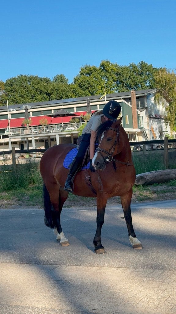 bijrijder aangeboden voor paard/ pony omgeving Rotterdam, Ophalen of Verzenden