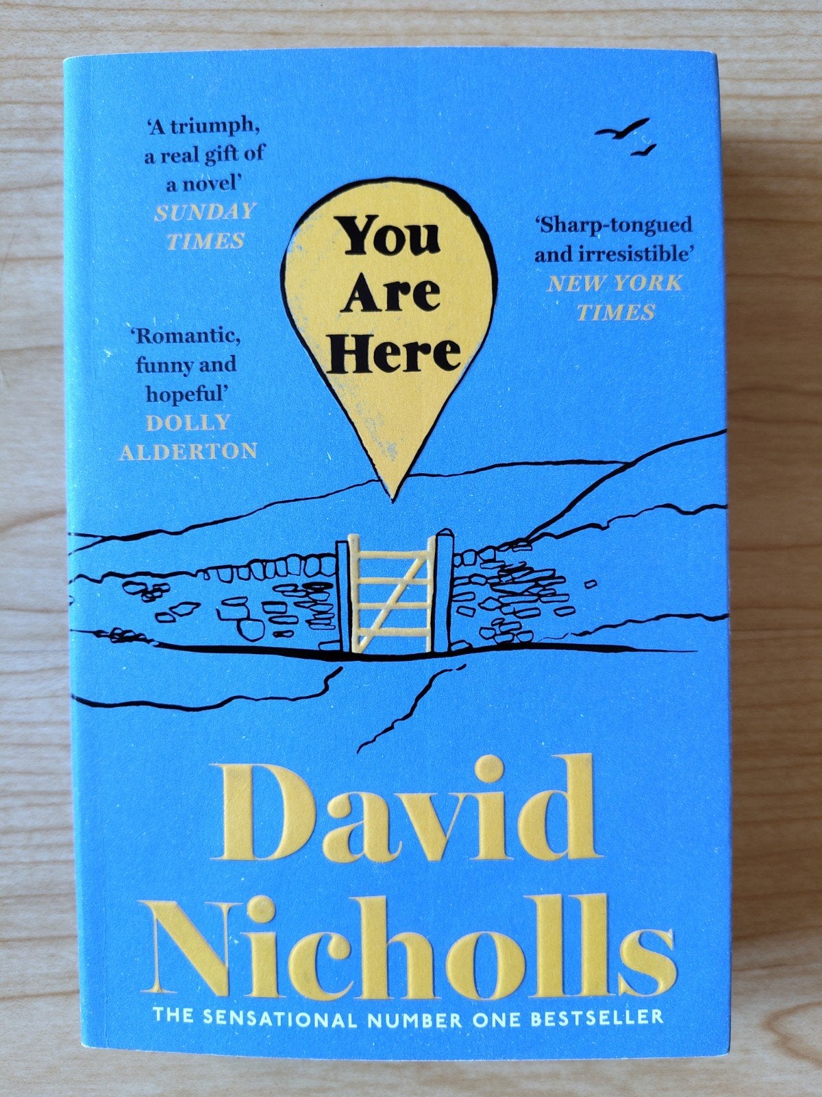You Are Here - David Nicholls, Boeken, Gelezen, Ophalen of Verzenden, Fictie, David Nicholls