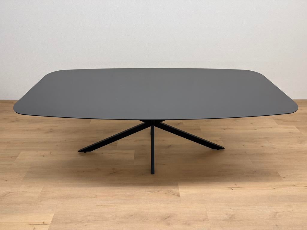 Deens ovale eettafel HPL Glanzend 220x100 - Direct Leverbaar, 100 tot 150 cm, 200 cm of meer, Ophalen of Verzenden, Zo goed als nieuw