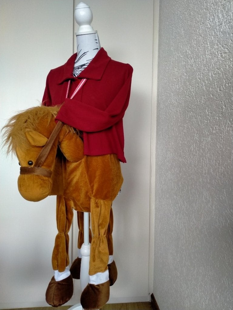 Het reservepaard van Sinterklaas, Ophalen of Verzenden, Zo goed als nieuw