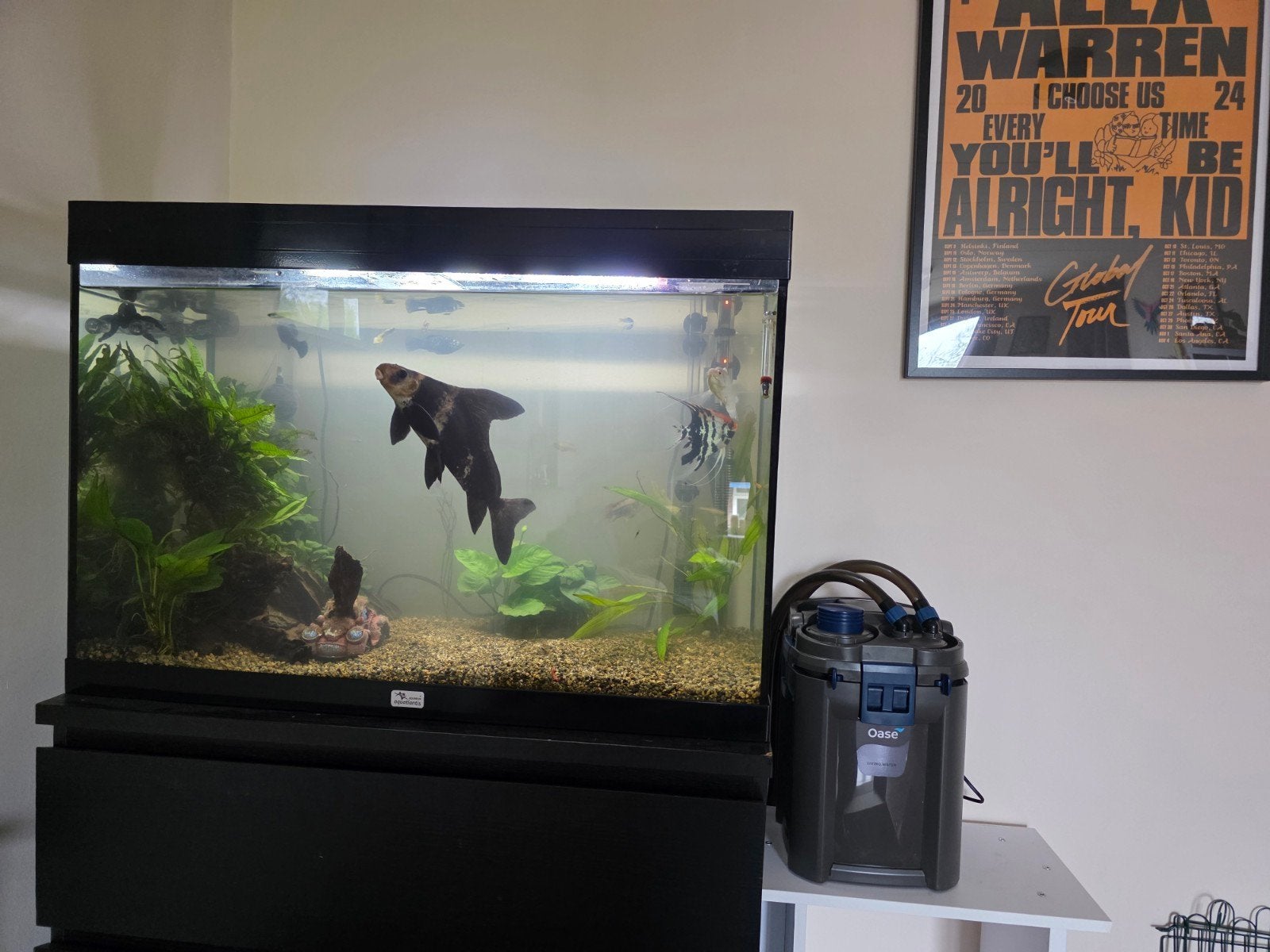 150 liter aquarium en toebehoren, Ophalen, Gebruikt, Inclusief deksel, Aquatlantis