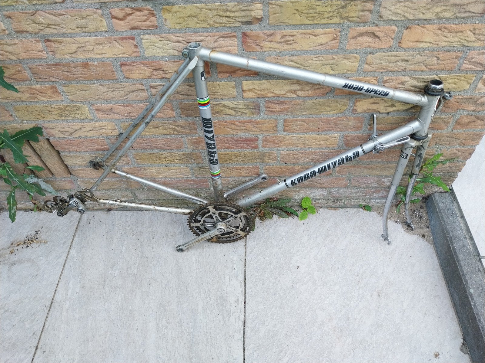 Koga Myata ROAD SPEED fietsframe - framemaat 56 cm, Ophalen, Koga Myata, Frame, Gebruikt