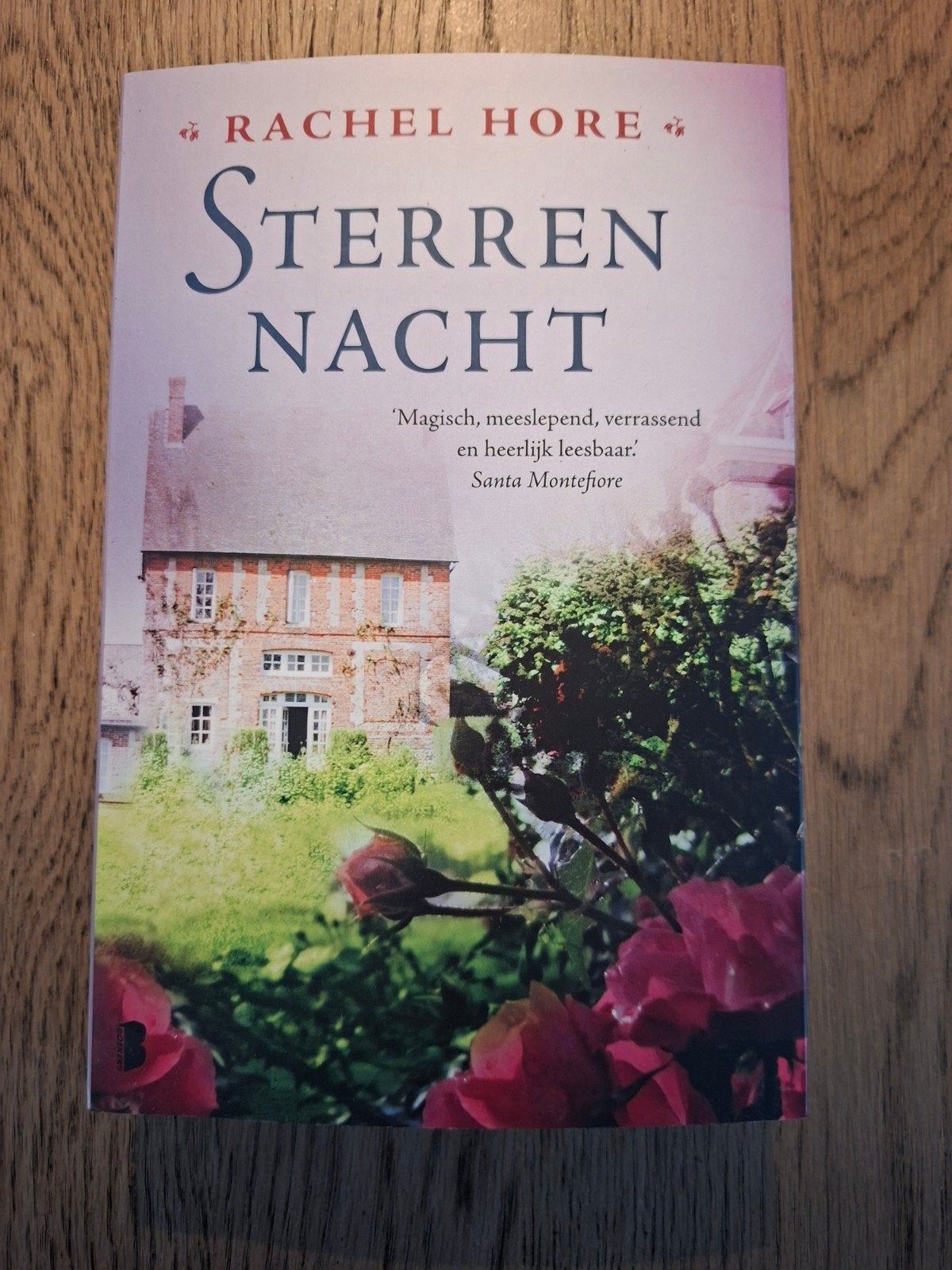 Rachel Hore - Sterrennacht, Boeken, Ophalen of Verzenden, Zo goed als nieuw, Rachel Hore