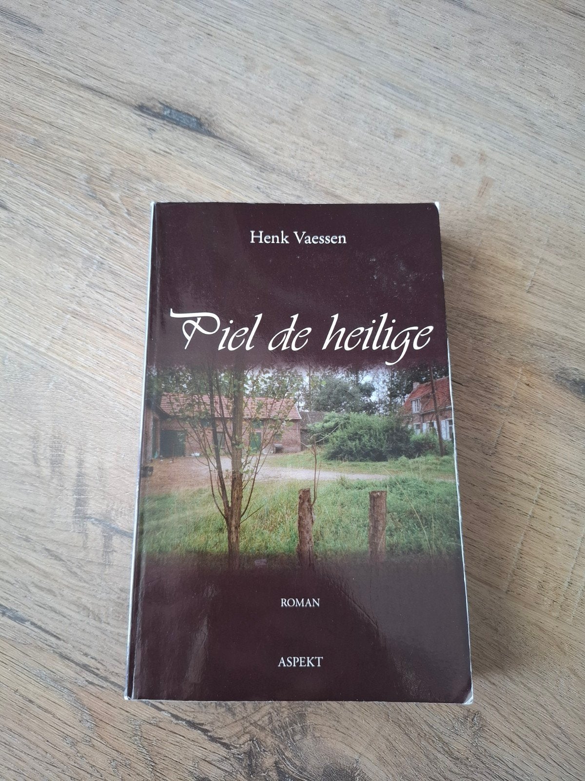 Piel de heilige - Henk Vaessen (Roman), Ophalen of Verzenden, Zo goed als nieuw, Henk Vaessen, Nederland