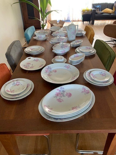 Epiag Royaal Tjecheslowakije servies met rozenmotief, Ophalen, Gebruikt