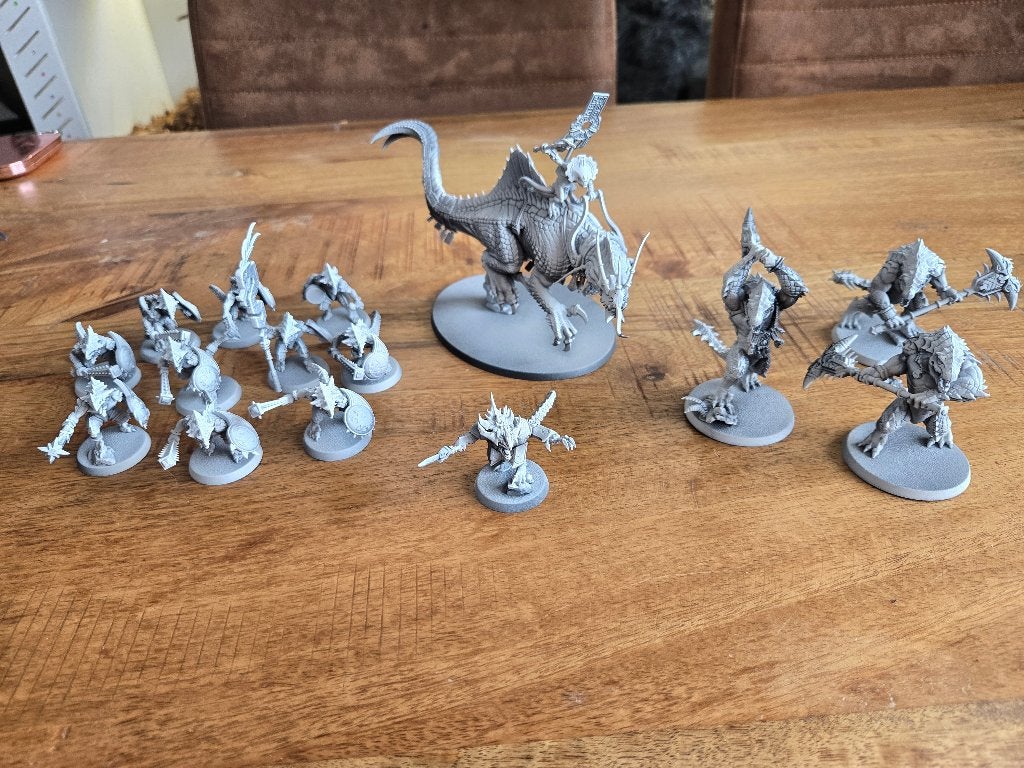 Warhammer Age of Simgar: Seraphon small force 600+ points, Verzenden, Zo goed als nieuw, Warhammer, Figuurtje(s)
