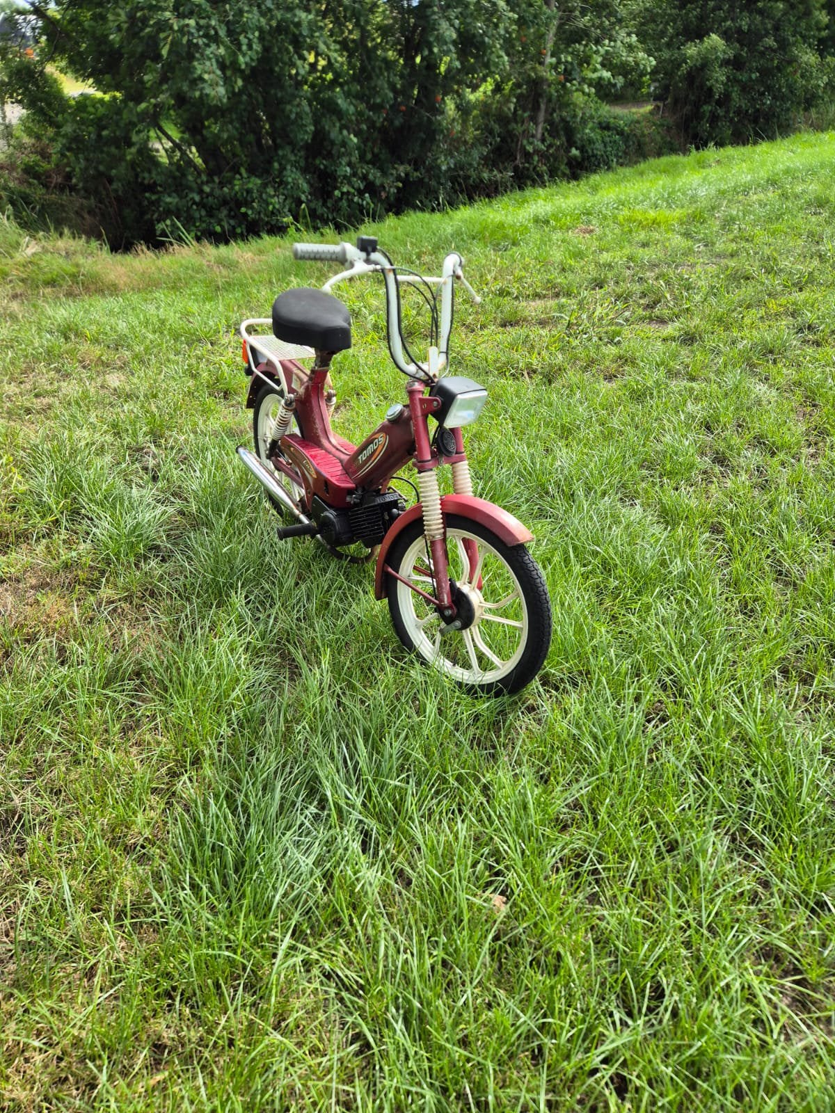 Tomos 50cc snorbrommer loopt perfect - geen kenteken, Fietsen en Brommers, Ophalen, Zo goed als nieuw