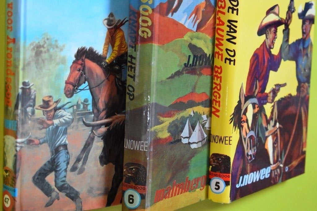 3 x Arendsoog door P&J Nowee- samen 10,00 euro, Boeken, Ophalen of Verzenden, Gelezen, J&P Nowee, Fictie