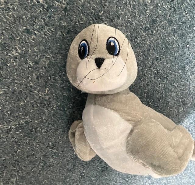 Zeehond knuffel nieuw, Kinderen en Baby's, Speelgoed | Knuffels en Pluche, Ophalen of Verzenden, Nieuw, Overige typen