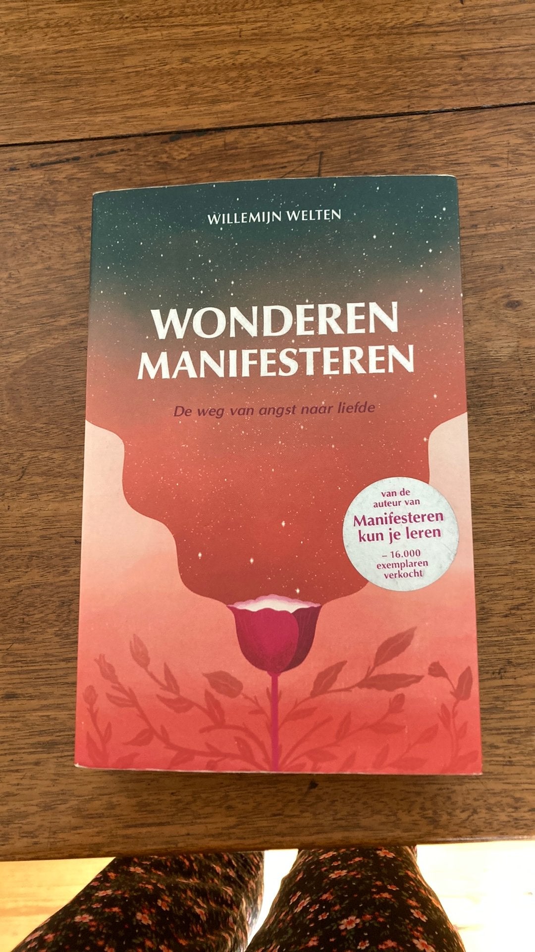 Willemijn Welten - Wonderen manifesteren, Ophalen of Verzenden, Gelezen, Willemijn Welten
