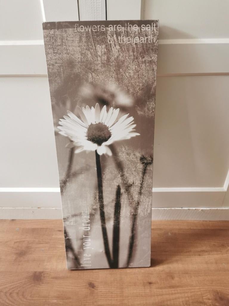 schilderij bloem sepia  30x80, Minder dan 50 cm, Ophalen of Verzenden, Zo goed als nieuw, Schilderij