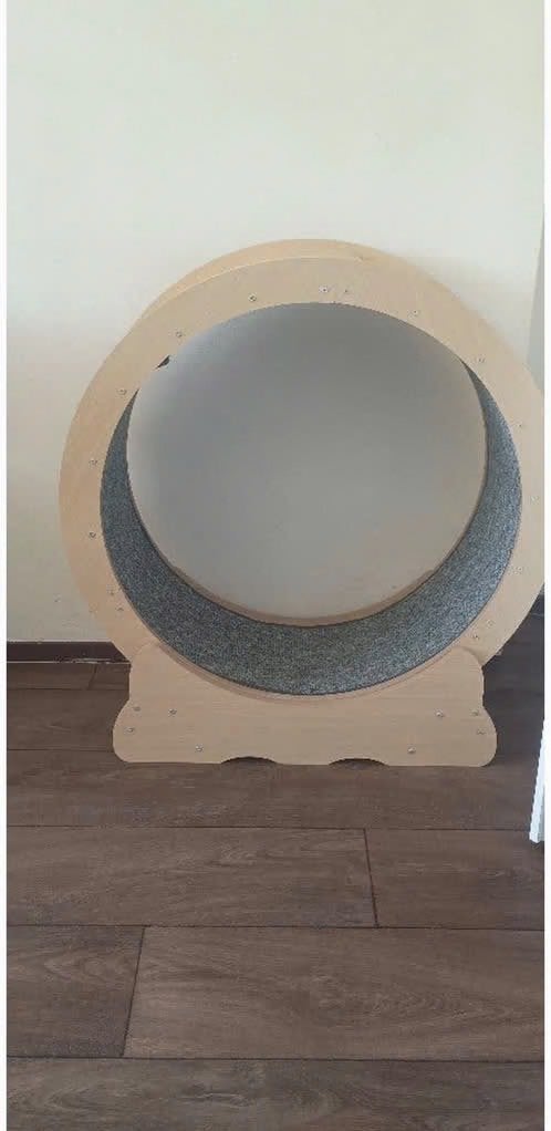 Kattenwiel 65 cm diameter (enkel ophalen), Dieren en Toebehoren, Ophalen, Zo goed als nieuw, Overig speelgoed