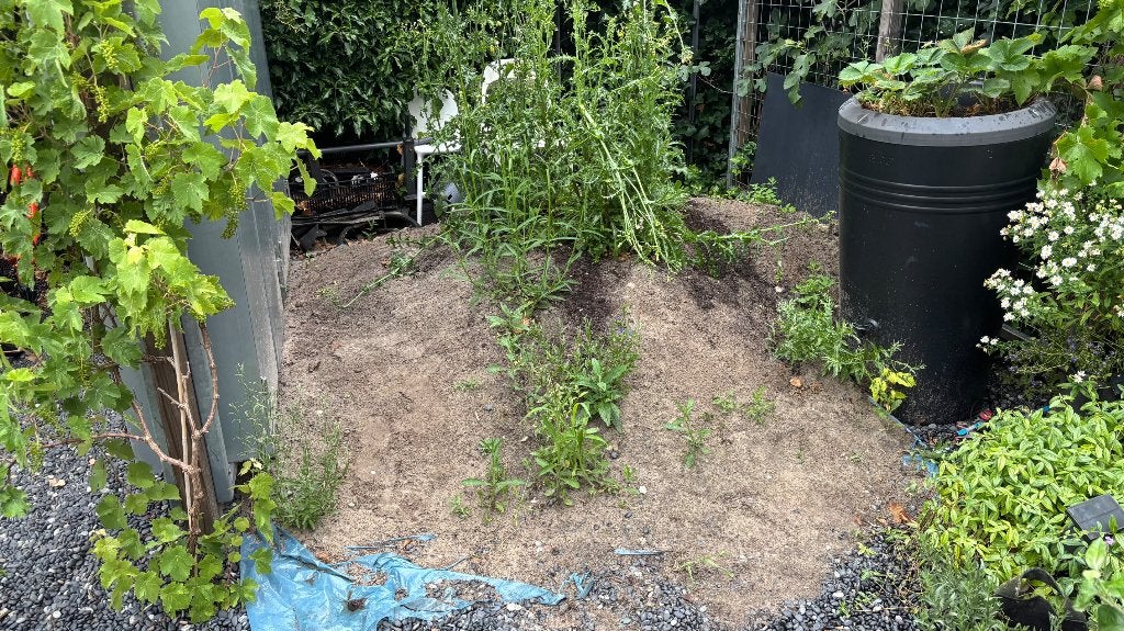 Zand (schoon), Ophalen, Zo goed als nieuw, Ophoogzand