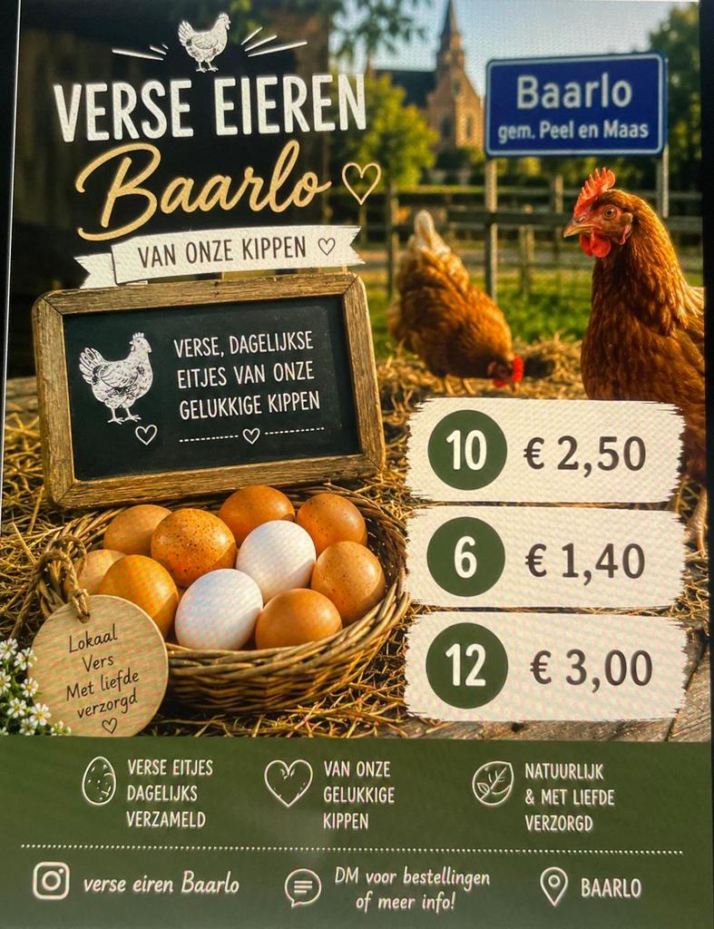 Dagverse eieren – Rechtstreeks van de hobbyhouder, Vrouwelijk, Kip