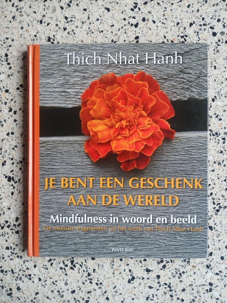 Je bent een geschenk aan de wereld Thich Nhat Hanh VASTE PR, Ophalen of Verzenden, Zo goed als nieuw