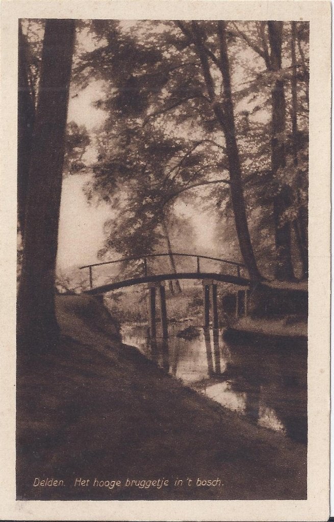 Delden Hooge Bruggetje Oude Ongelopen Ansichtkaart (P774 ), Verzamelen, Ophalen of Verzenden, 1940 tot 1960, Gelopen