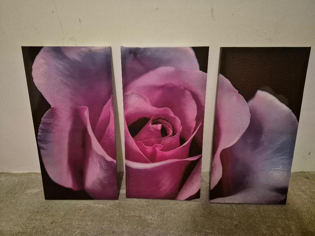 Schilderij Paars Roze Bloem drieluik, Ophalen, Zo goed als nieuw, Schilderij, Minder dan 50 cm