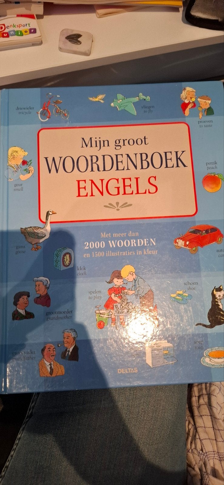 Engels woordenboek, Boeken, Ophalen of Verzenden