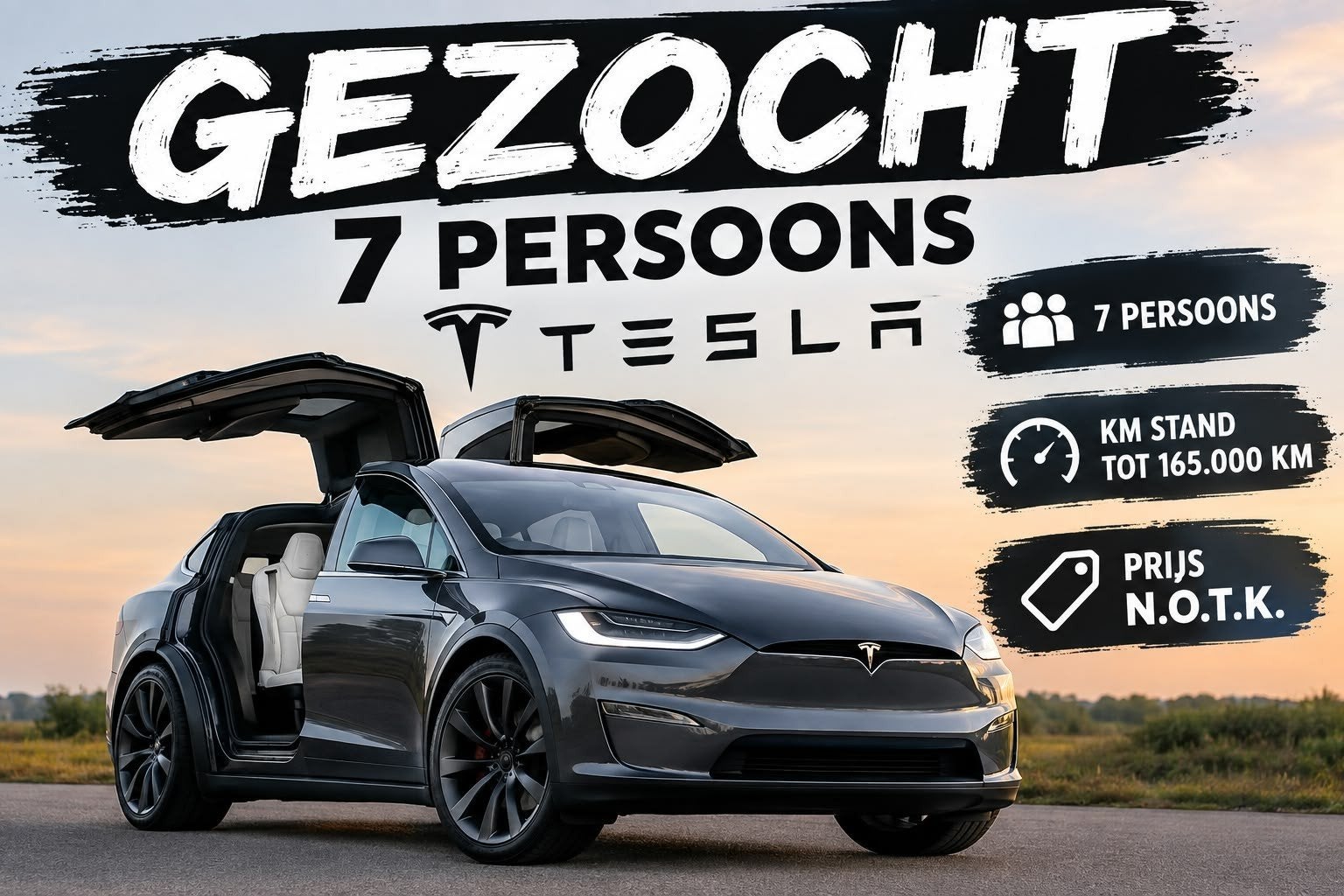 gezocht : 7 persoons Tesla, Ophalen